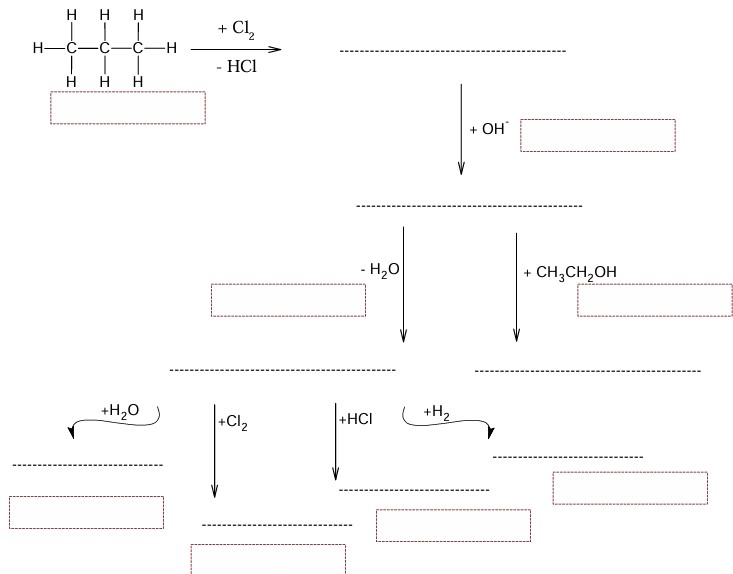 القسم الرابع- تفاعلات عضوية