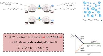القسم1-حالة الاتزان الديناميكي