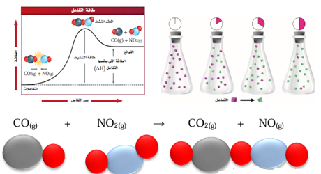 القسم الأول – نموذج لسرعة التفاعل