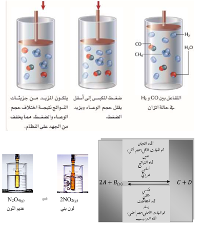 القسم 2- العوامل المؤثرة في الاتزان الكيميائي